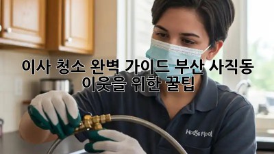 이사 청소 완벽 가이드: 부산 사직동 이웃을 위한 꿀팁