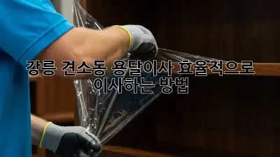 강릉 견소동 용달이사, 효율적으로 이사하는 방법!